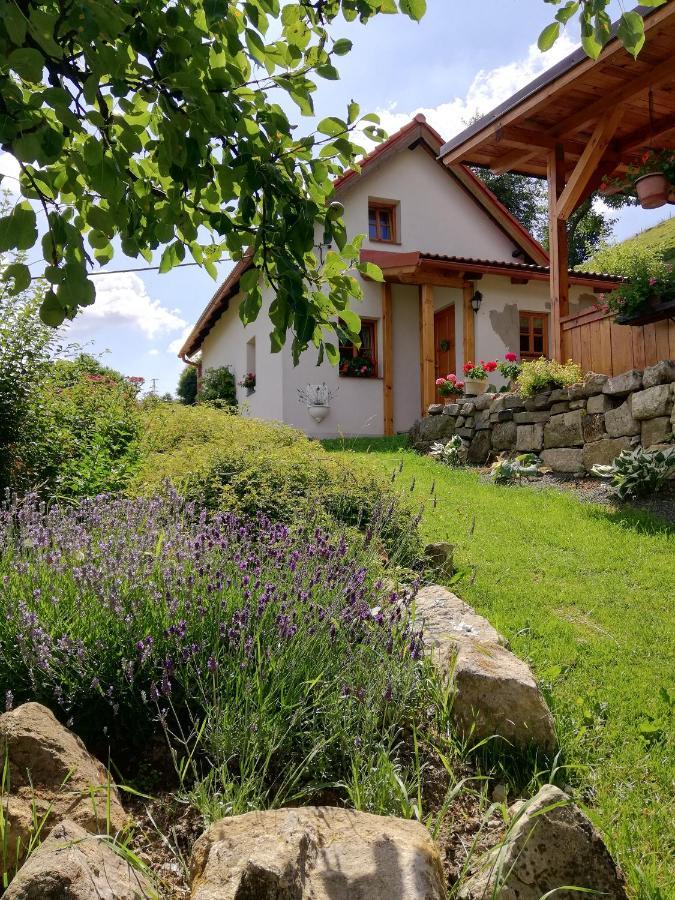 Charming House With Beautiful Landscape Villa Frýdštejn Екстериор снимка