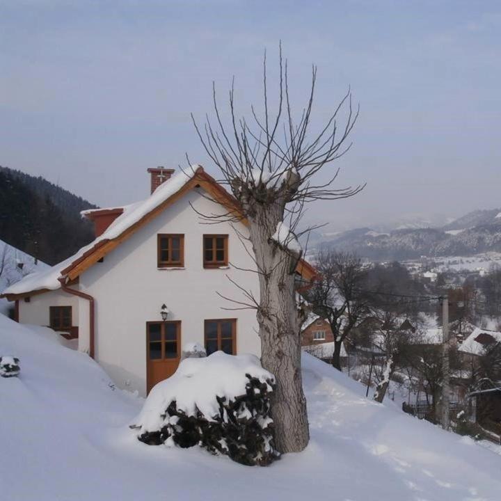 Charming House With Beautiful Landscape Villa Frýdštejn Екстериор снимка
